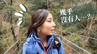 淡季3月去高尾山有多爽？ #2023 高尾山一日行程 part 2 #vlog #數碼遊牧 的假期 絕美景觀茶屋歎蕎麥麵、藥王院、三福糰子 走4號路看吊橋