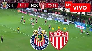  CHIVAS VS NECAXA EN VIVO Y EN DIRECTO / LIGA MX APERTURA 2024