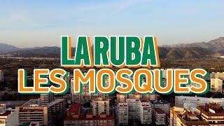 La Ruba - Les mosques (vídeo oficial)