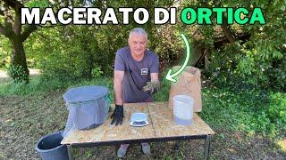 Preparo il MACERATO DI ORTICA: antiparassitario naturale per l'ORTO!