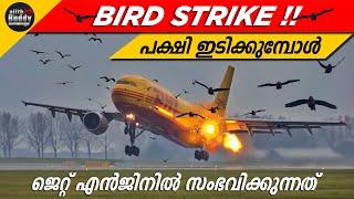 പക്ഷി ഇടിച്ച് വിമാനം തകരുന്നതെങ്ങനെ | Bird Strike Damage on Jet Engine Explained | Ajith Buddy