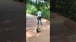 Nandankanan Zoological park //BBSR //Muhu malka jhatka // song // short video