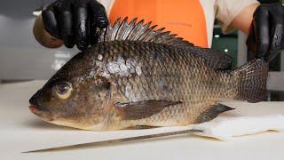 The Truth About Tilapia