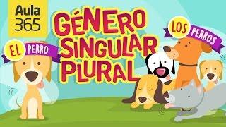 ¿Qué es el Género y Número de los Sustantivos? | Videos Educativos Aula365