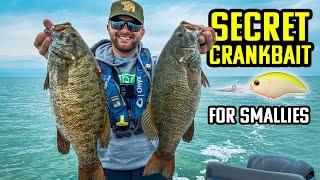 SECRET Crankbait Pros Don’t Want You To Know About (Big Smallies)