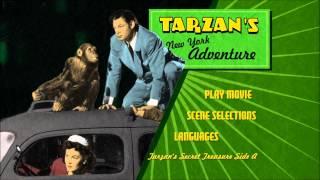 Tarzan's New York Adventure