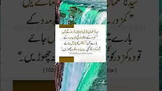 Golden Words|Urdu Quotes| motivation quotes|viral shorts​|islamic quoets​|beauty tips​|aqwale zaren