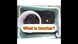 Making Biochar: A How-To Guide For Landowners