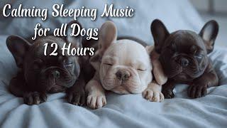 Calming Sleeping Music for all Dogs  | 12 Hours of Healing Frequencies and Sounds