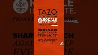 Regenerative Marketing - Tazo Tea