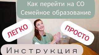 Как перейти на семейное образование/обучение легко и просто? Как решить проблемы? Тонкости и законы!