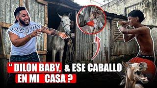 DILON BABY ESE CABALLO EN MI CASA