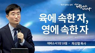 제 5차 살리는 집회 | 육에 속한 자, 영에 속한 자 | 채성렬 목사 | 2024/10/29