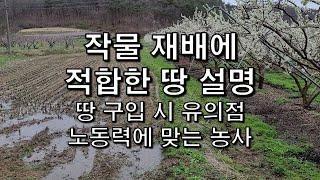 농사 짓기에 좋은 땅 선택하는 방법 및 밭 조성 꿀팁 [농사의신]