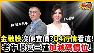 金融股沒便宜價？Q4行情看這｜公開這三檔加減碼價位，老牛教你抓出低點！《股民想知道》ft. 老牛.俞璘