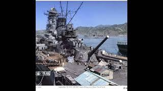 The Imperial Japanese Navy