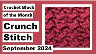 Crunch Stitch - Crochet Block of the Month - September 2024