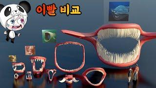 몬스터와 동물들의 이빨 비교!! 사람보다 더큰 이빨은 누구일까? 알지 못했던 신기한 이빨 대탐험 앨그랜마하 블룹 모사사우루스드등 [꿈토이 꿀잼 리액션]