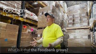 What Does the St. Louis Area Foodbank Grow?