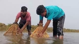 Village Ponds In Amazing Fish Catching | Amazing Polo Fishing | Mr Fun Box 174