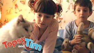 Lost cat & Indoor tent | Topsy & Tim Double episode 209-210 | HD Full Episodes | Shows for Kids