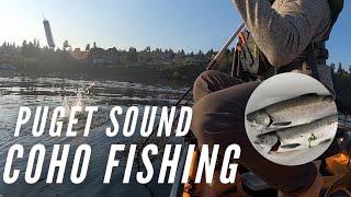 South Puget Sound Coho Kayak Fishing