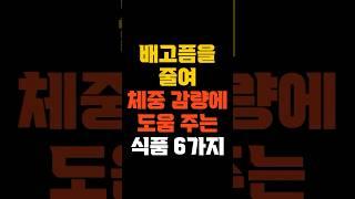 배고픔을 줄여 체중 감량에 도움을 주는 식품 6가지#다이어트 #체중감량 #배고픔줄이기 #포만감유지 #다이어트간식 #헬시푸드 #다이어트팁 #건강한다이어트 #살빼는방법 #저칼로리간식