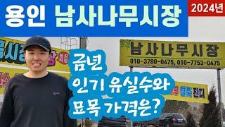 용인 남사나무시장 - 금년 인기 유실수와 묘목 가격은?