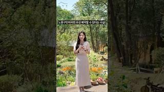수락휴 우선예약 하는 방법 알려줄께!! #노원구 #노원구청 #수락휴 #자연휴양림 #꿀팁 #예약