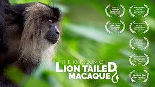 The Kingdom of Lion Tailed Macaque - Wildlife Documentary