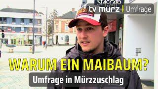 tv mürz | Warum wird bei uns ein Maibaum aufgestellt? Umfrage in Mürzzuschlag