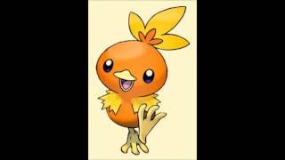 Nippy Torchic!