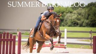 SUMMER DAY AT THE BARN