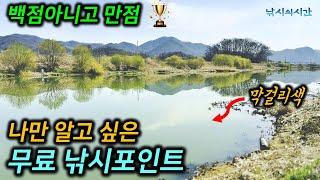 [주소공개] #붕어낚시 하라고 잔디 깔아 두신 분? 별 다섯 개짜리 #무료낚시포인트 12곳을 소개합니다. | 붕어낚시터 추천 | 낚시포인트찾기 |  #캠낚포인트