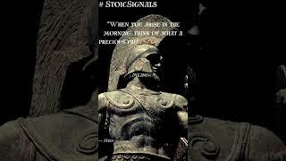 The Stoic Wisdom of Marcus Aurelius Explained