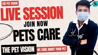 THE PET VISION ( Live Session )