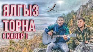 ТАТАРСКАЯ ПЕСНЯ ЯЛГЫЗ ТОРНА | кавер на песню ФИРДУСА ТЯМАЕВА