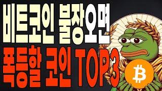 비트코인 불장오면 폭등할 알트코인 TOP3