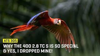 Approaching The Scene 305: Why The 400 2.8 TC S Is So Special & Yes, I Dropped Mine!