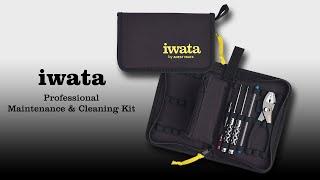 Iwata Maintenance and Cleaning Kit