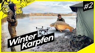 Winter Karpfen | DICKE FISCHE mit SCHNEEMANN | Karpfenangeln am Baggersee Folge 2