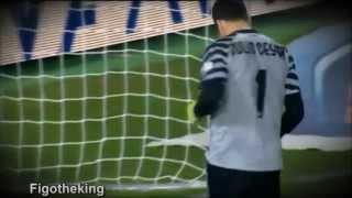 Julio Cesar - Melhores Defesas ( The best defense )