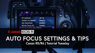 Auto Focus Settings for Canon EOS R5/R6 | EOS R6