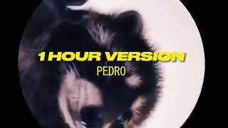 PEDRO - Raffaella Carrà Remix | 1 HOUR VERSION (TikTok Trends 2024)