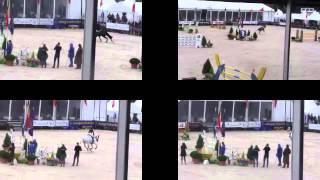 Euphony Prix, Fei Zangersheide Sires of the World, Video barrage