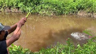 BERTAHUN TAHUN NGGAK ADA YANG MANCING IKAN DI SUNGAI INI JADI MONSTER-MONSTER-SUNGAI DALAM HUTAN