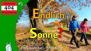 Wienerwald Weitwanderweg 404 - Rekawinkel - Hochstraß - Laaben - Stössing - wandern in NÖ