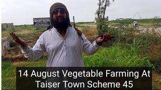 Special message on 14 August Taiser Town Transfer Allotment open in M.D.A shahrah e Faisal office.