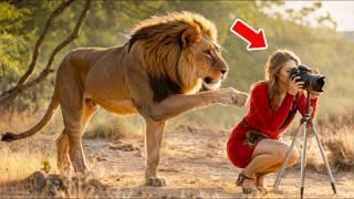 Lioness Asks Photographer For Help, Then He Is Shocked To Find Out Why