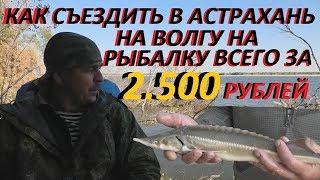 Как съездить в Астрахань на нижнюю Волгу на рыбалку всего за 2500 тысячи рублей